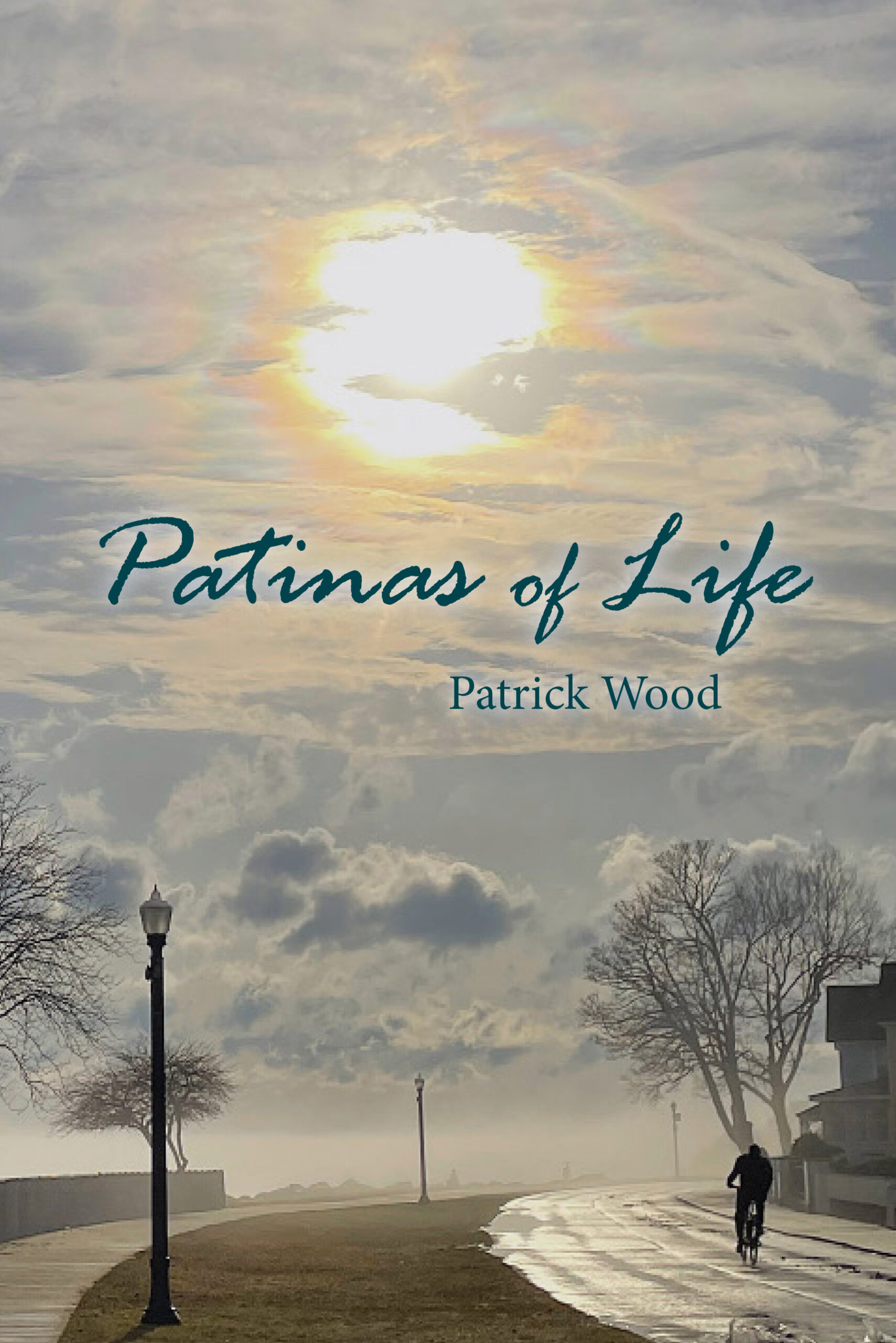 Patinas of Life